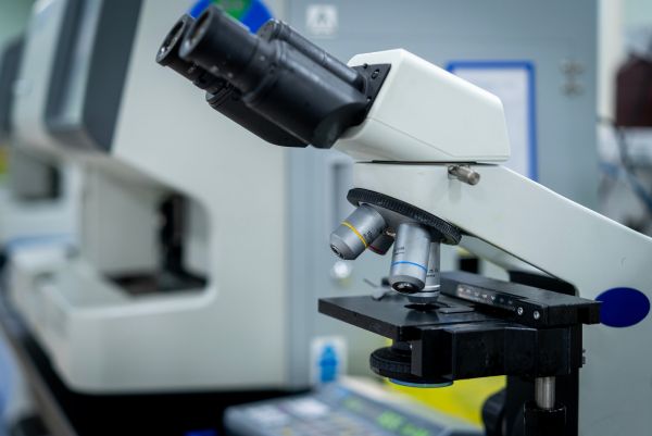 قسم المختبر